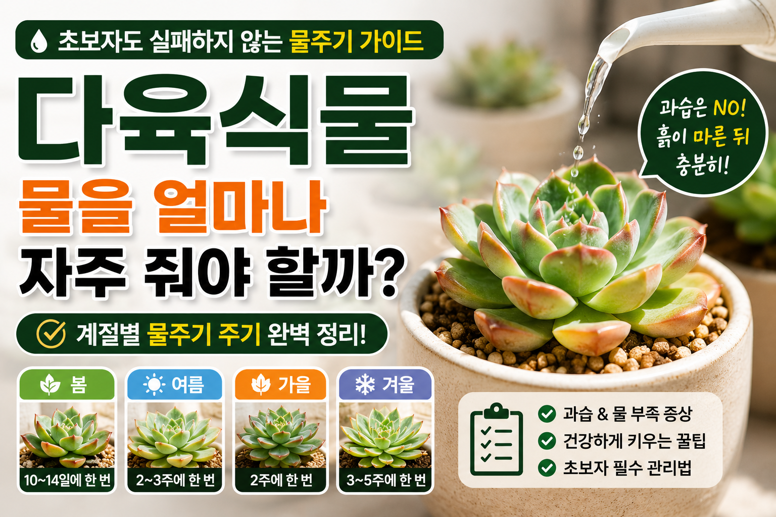 다육식물 썸네일