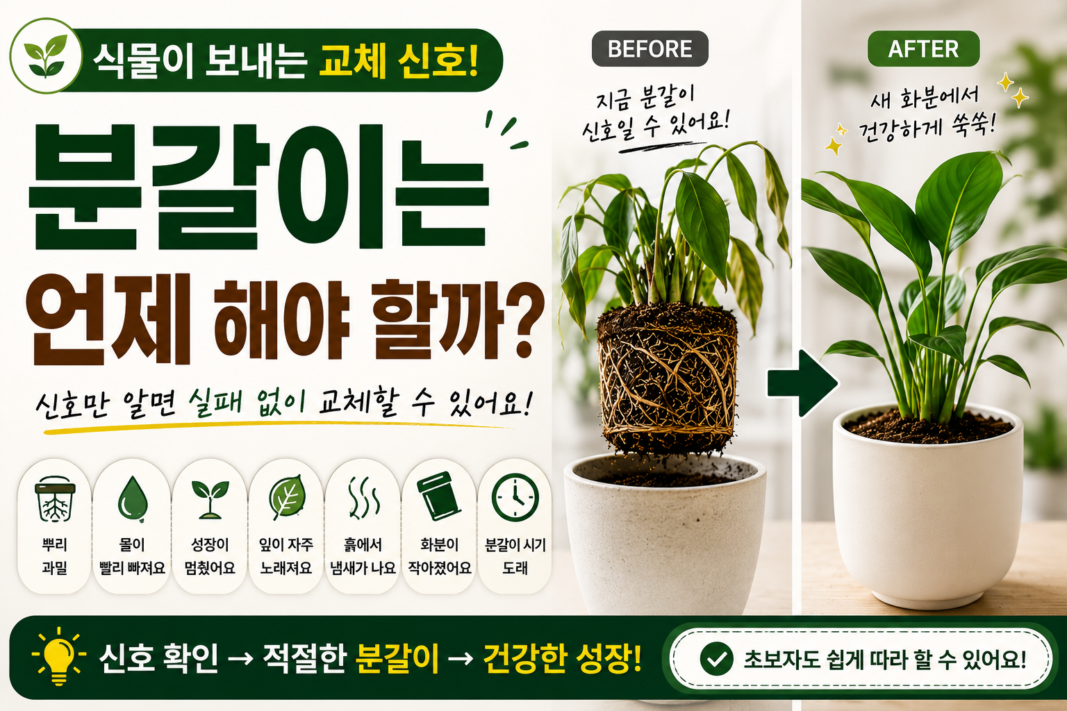 분갈이 썸네일