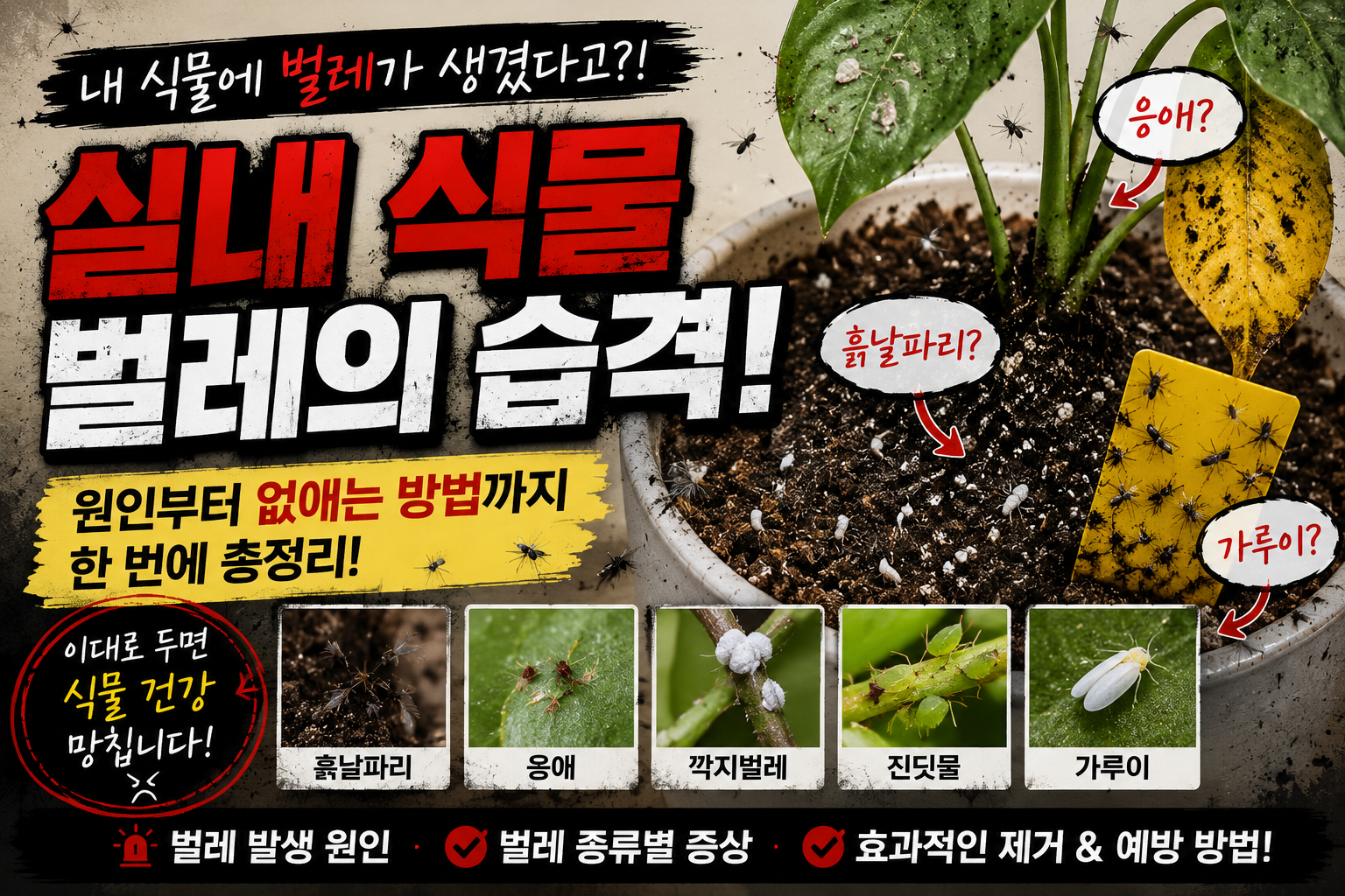 식물벌레 썸네일